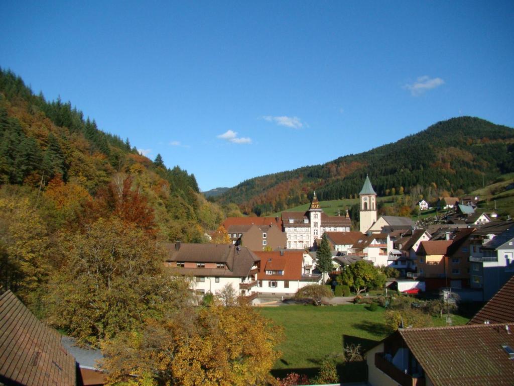 Hotel Hirsch Bad Peterstal-Griesbach Dış mekan fotoğraf