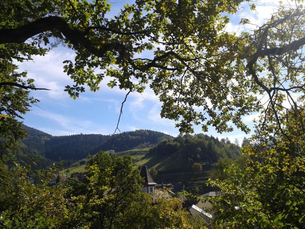 Hotel Hirsch Bad Peterstal-Griesbach Dış mekan fotoğraf